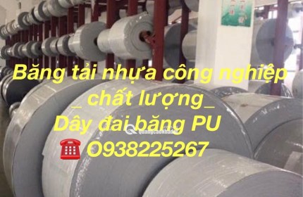PEEK TRONG NGÀNH DẦU KHÍ (OIL & GAS)